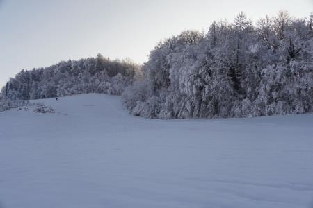 Velika nagrada Mirne 2024, foto Pep (9)